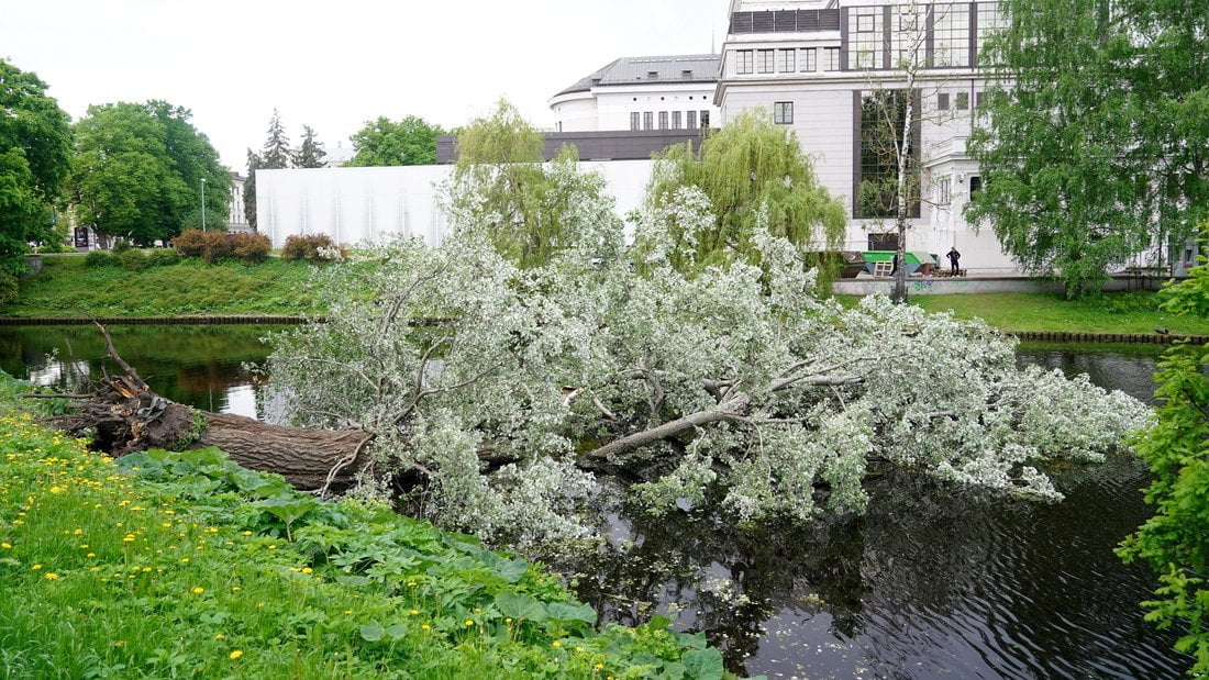 No Rīgas kanāla izcelta tajā iekritusī vairāk nekā 100 gadus vecā apse